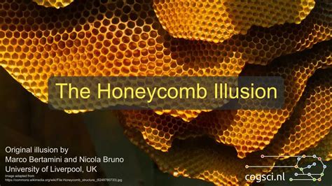 illusion honeycome|honeycomb illusion.